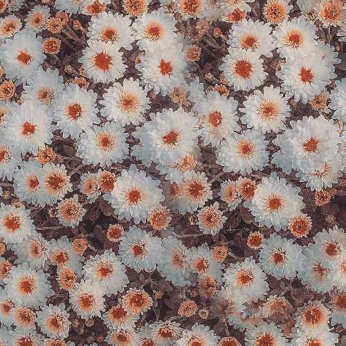  قاضی منو دوست داشت گفت چرا اینجایی گفتم این که شکایت اولم نی